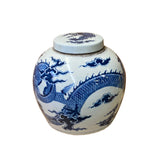 Chinese Blue & White Dragon Graphic Porcelain Ginger Jar ws1238S
