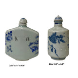 2 x Chinese Porcelain Snuff Bottle With Blue White Scenery Graphic ws1241S