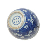 Chinese Blue White Oriental Flower Birds Scenery Porcelain Pot ws1299S