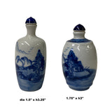 2 x Chinese Porcelain Snuff Bottle With Blue White Scenery Graphic ws1326S