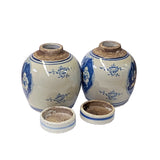 Pair Blue White Small Oriental Double Kids Porcelain Ginger Jars ws1378S