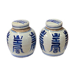 Pair Blue White Small Oriental Shou Characters Porcelain Ginger Jars ws1384S