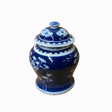 Chinese Blue White Porcelain Blossom Flowers Graphic Temple Jar ws1412S