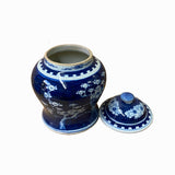 Chinese Blue White Porcelain Blossom Flowers Graphic Temple Jar ws1412S
