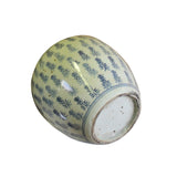 Chinese Oriental Handpaint Small Blue White Porcelain Ginger Jar ws574S