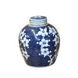 Chinese Blue White Ceramic Blossom Flowers Graphic Ginger Jar ws819S