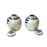 Pair Blue White Mini Oriental Graphic Porcelain Ginger Jars ws947S