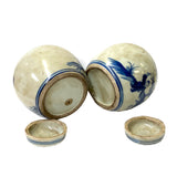 Pair Blue White Mini Oriental Graphic Porcelain Ginger Jars ws947S