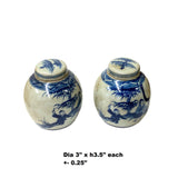 Pair Blue White Mini Oriental Graphic Porcelain Ginger Jars ws947S