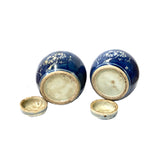 Pair Blue White Mini Oriental Graphic Porcelain Ginger Jars ws948S