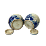 Pair Blue White Mini Oriental Graphic Porcelain Ginger Jars ws949S