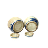 Pair Blue White Mini Oriental Graphic Porcelain Ginger Jars ws950S