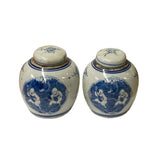 Pair Blue White Small Oriental Graphic Porcelain Ginger Jars ws951S