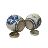 Pair Blue White Small Oriental Graphic Porcelain Ginger Jars ws951S