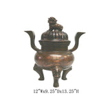 Unique Chinese Antique Copper Foo Dog Gold Painting Design Incense Burner 